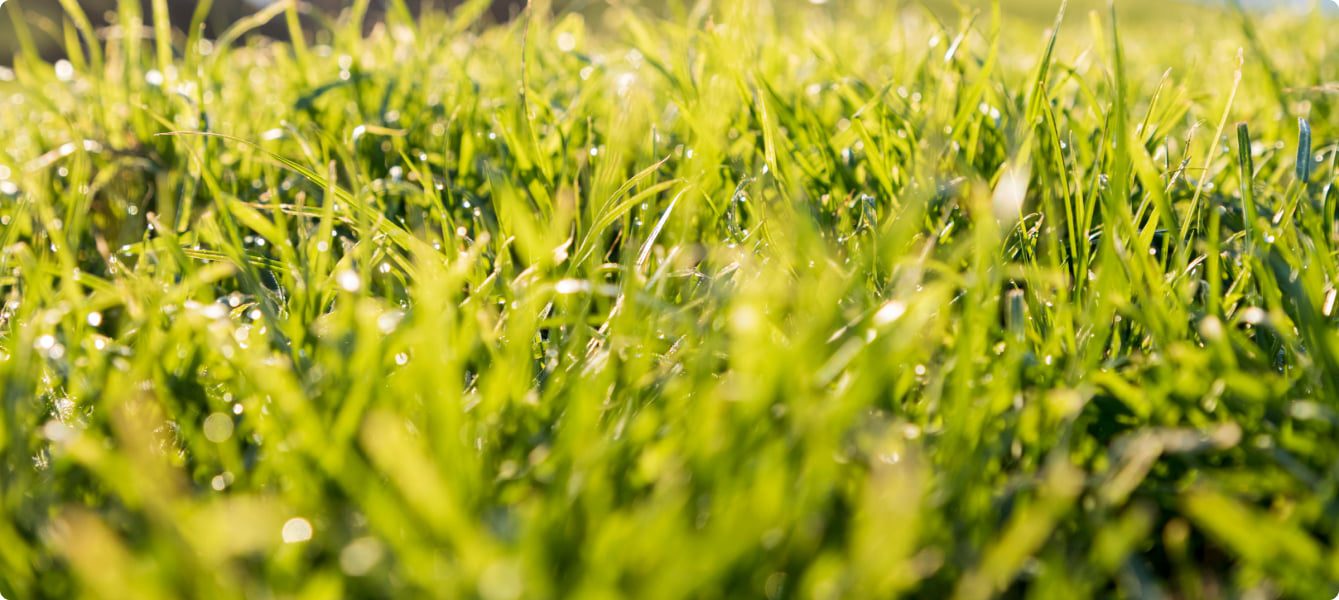 about-us full-width